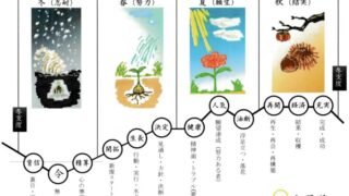 original　2-2-320x180.jpeg